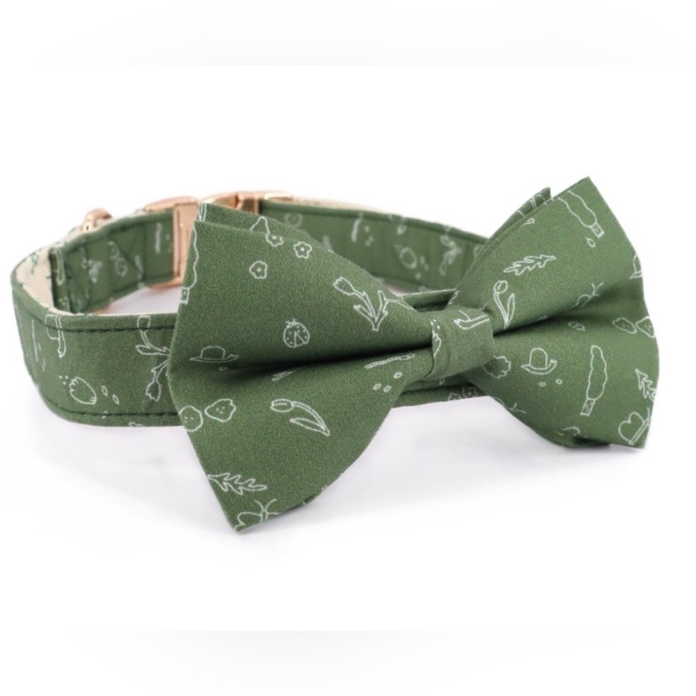 Playground Dog Collar with Bow Tie